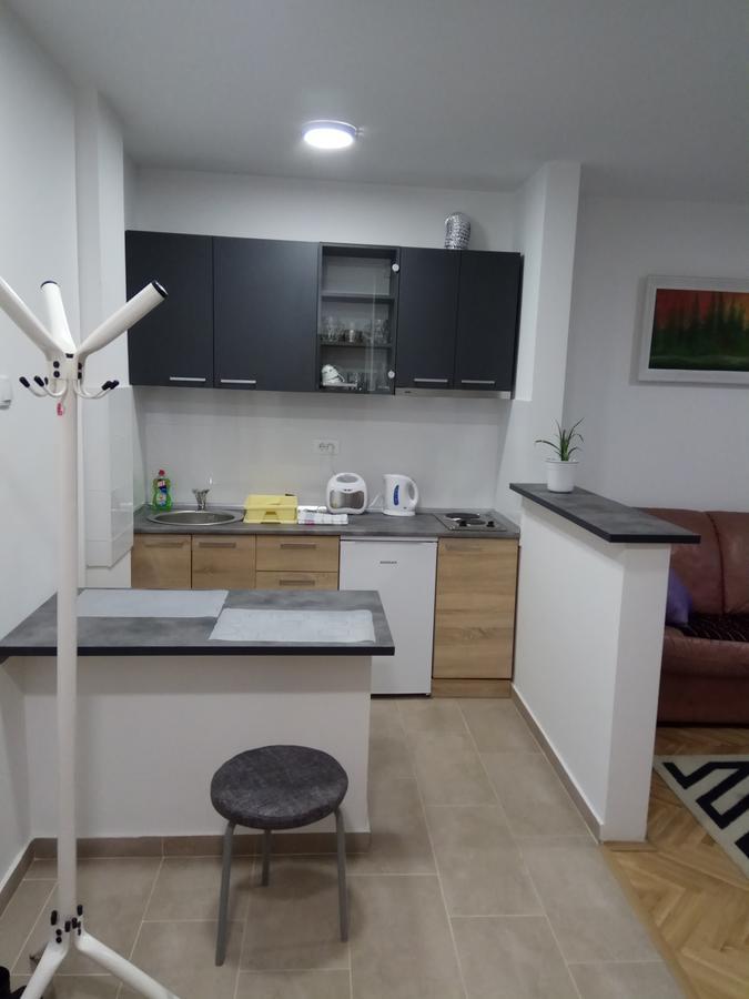 סובוטיקה Apartman Ana מראה חיצוני תמונה