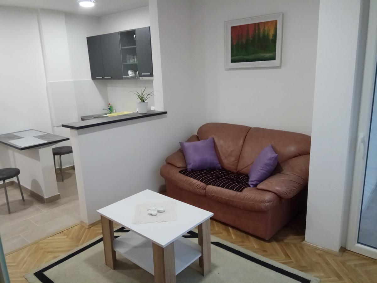 סובוטיקה Apartman Ana מראה חיצוני תמונה